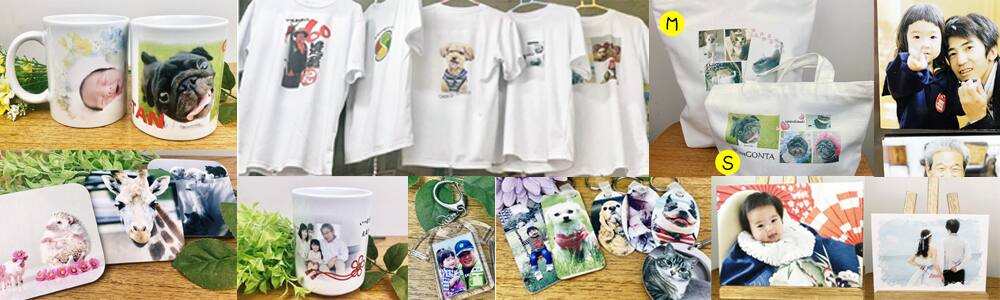 Tシャツ